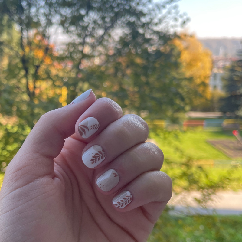 001aa93c6ce6ce73a2d100b23838d6d3